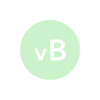 Lawyers vom Berg & Partner