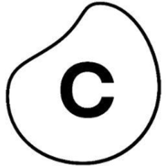 Celonis